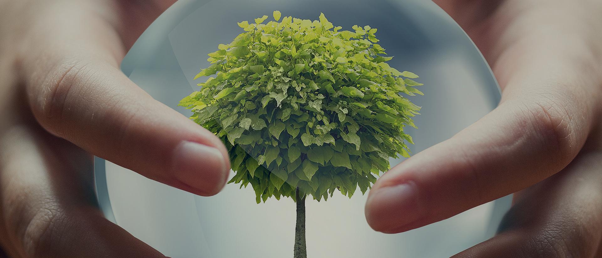 Environmental achievements AGC Glass Europe