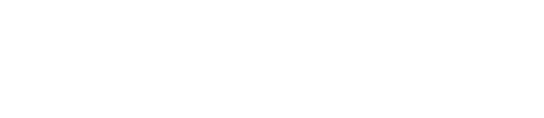4 основных бизнес-сегмента