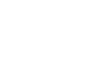 icon car