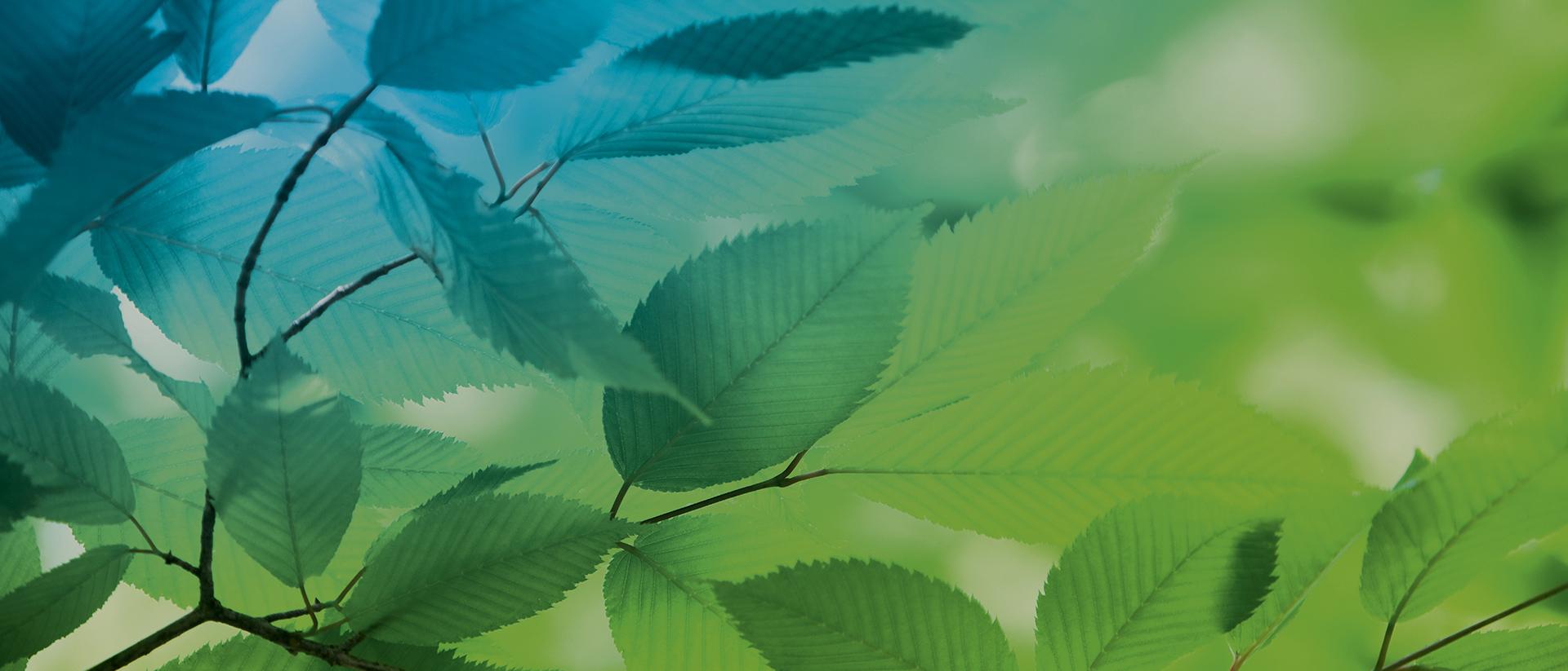 Sustainablity AGC glass