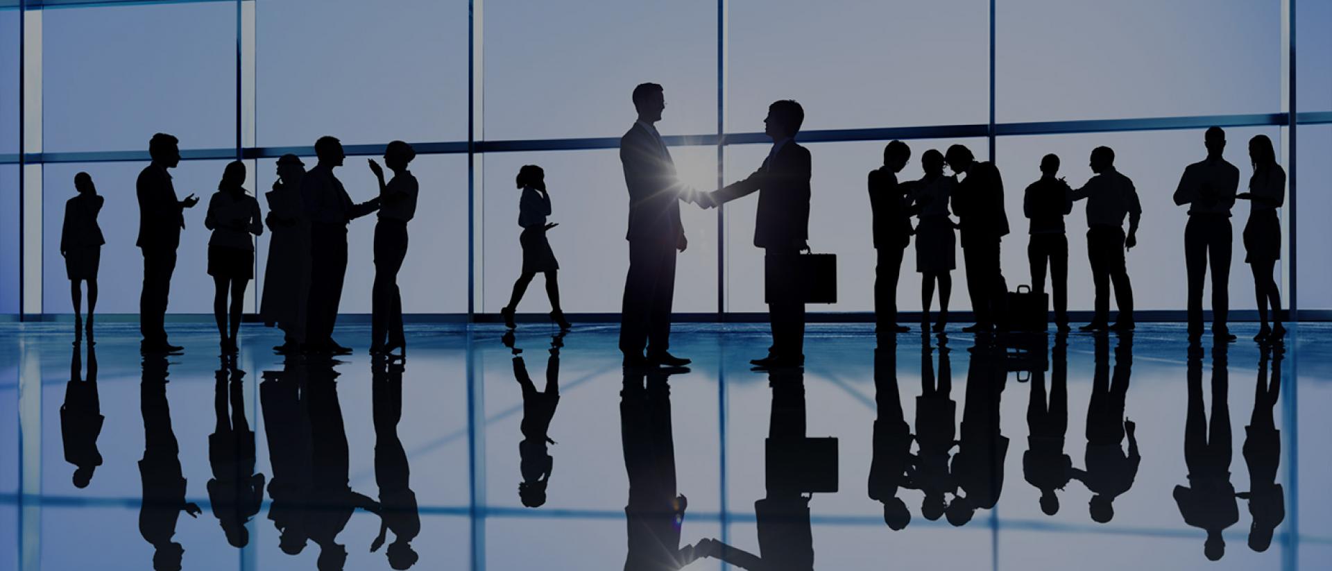 Procurement at AGC Glass Europe