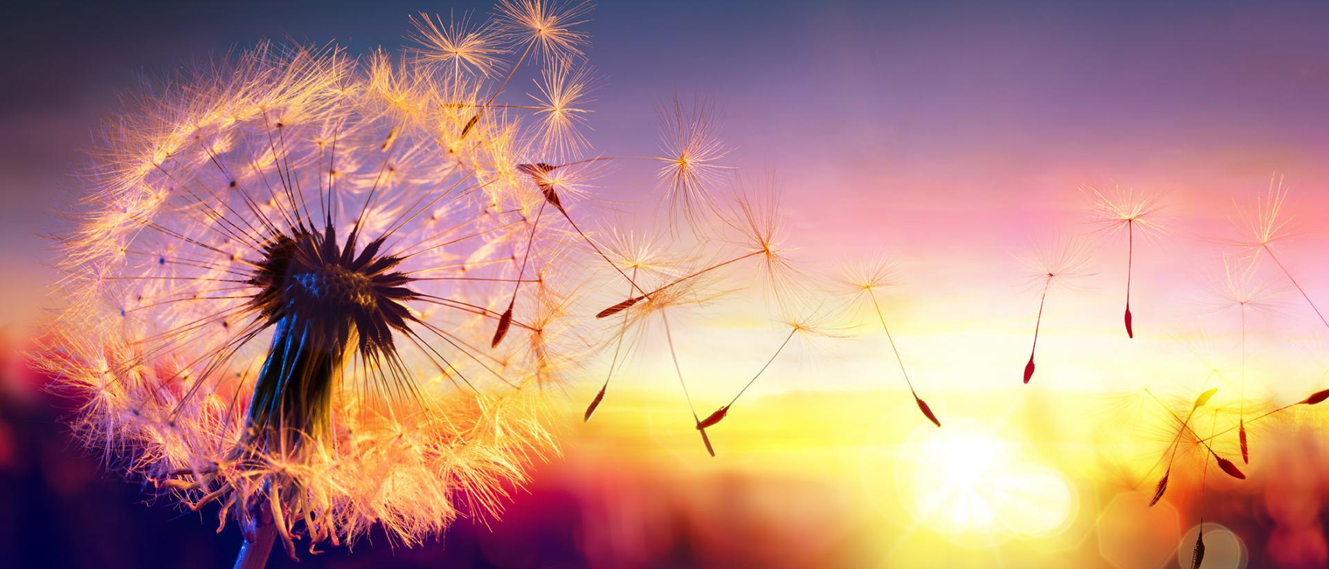 Carbon footprint, AGC Glass