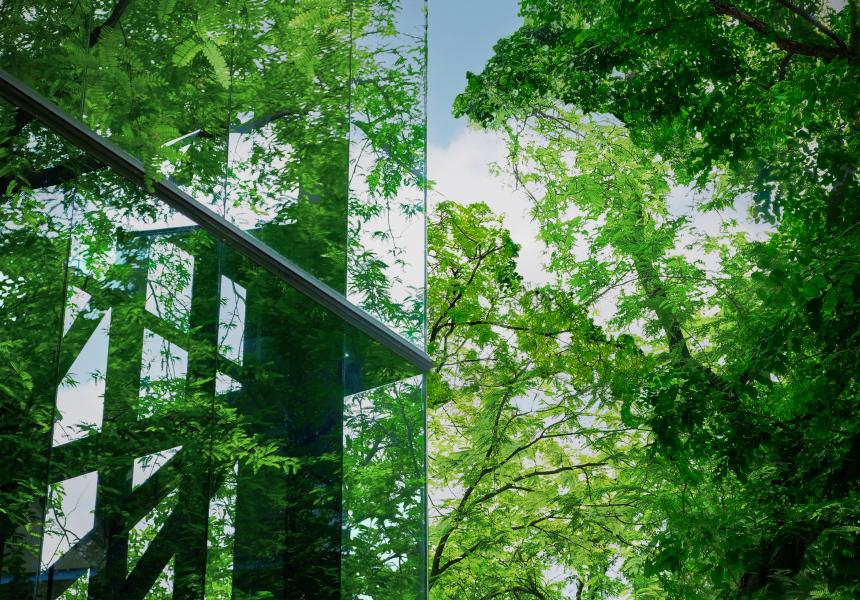 AGC glass windows in a green environment