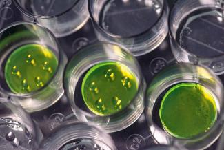 Planibel Easy - testing in lab