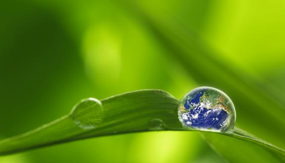 AGC Sustainability Report 2019